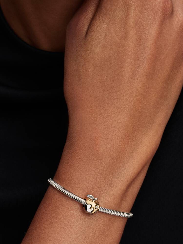 Charm Manzana Encantada
