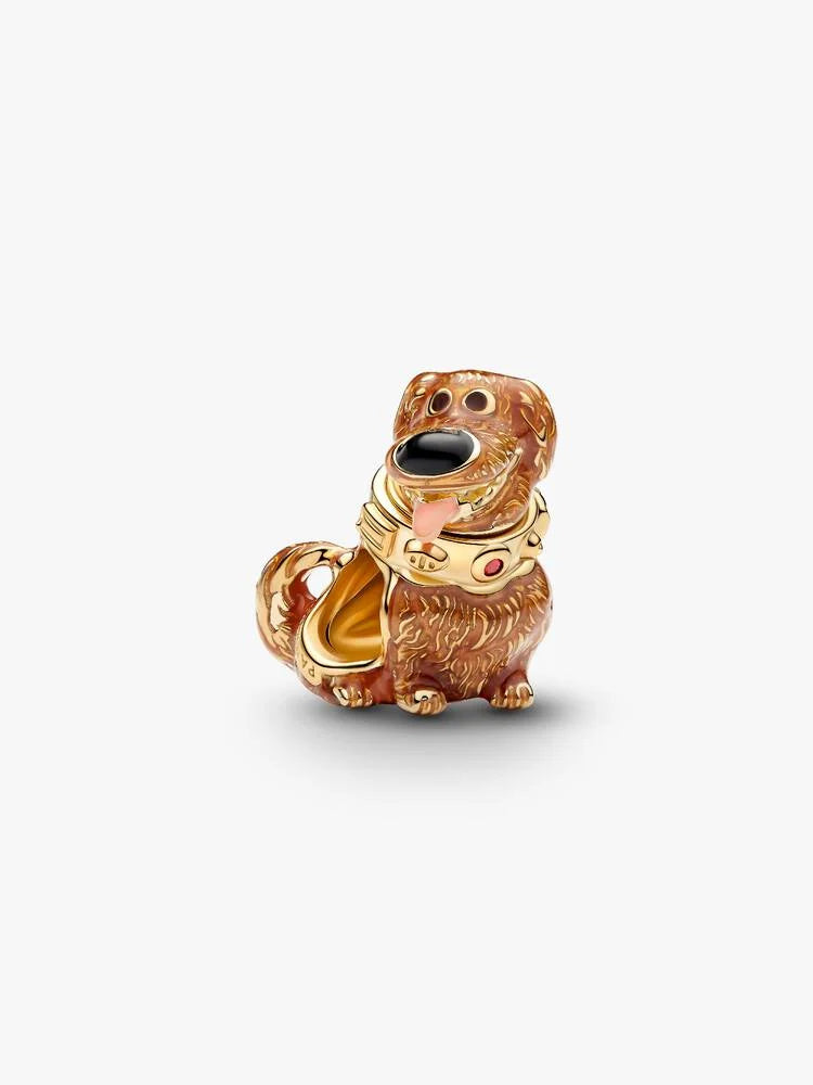 Charm Perrito Aventurero